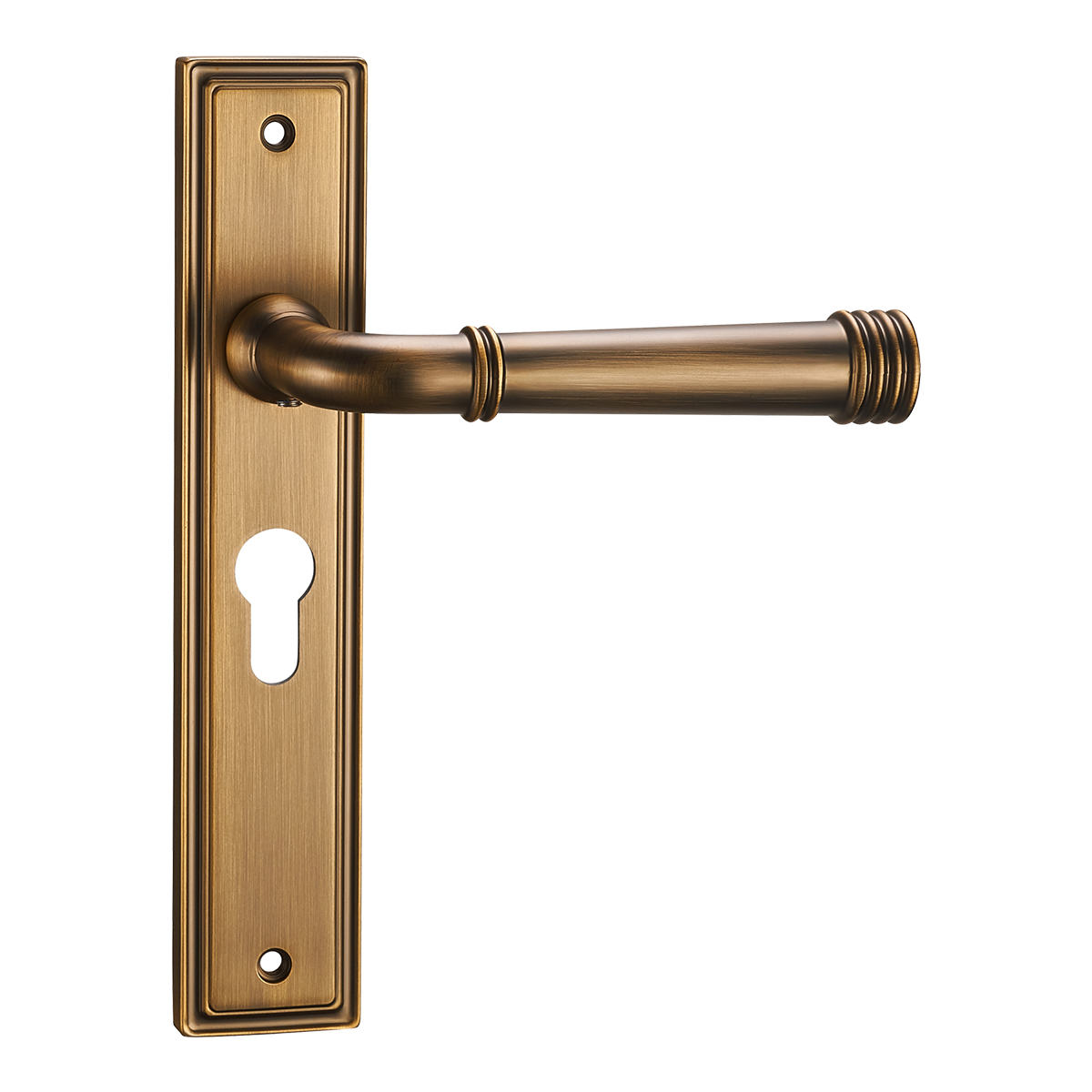 Bristol Lever On Backplate - Euro Lock - Parisian Bronze