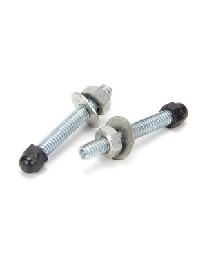 Steel 60mm Letter Plate Screw (2)