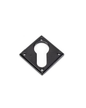 Black Diamond Euro Escutcheon