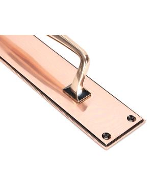 Polished Bronze 425mm Art Deco Pull Handle on Backplate