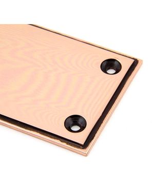 Polished Bronze 300mm Art Deco Fingerplate