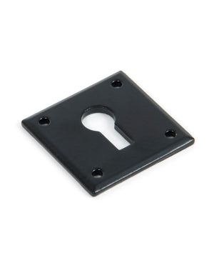 Black Avon Escutcheon