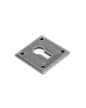 Pewter Avon Escutcheon