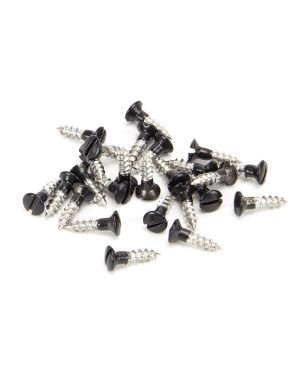 Black SS 3.0 x 12 Csk R/Head Screws (25)