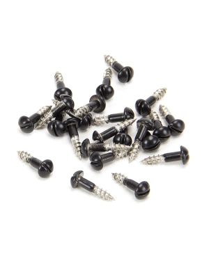 Black SS 3.0 x 12  Roundhead Screws (25)