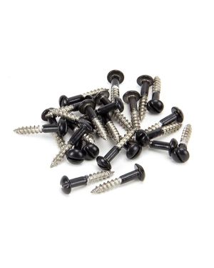 Black SS 3.5 x 20  Roundhead Screws (25)