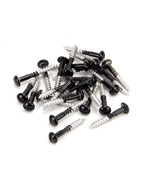 Black SS 3.5 x 25  Roundhead Screws (25)