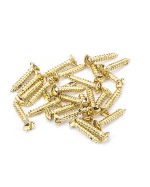 Polished Brass SS 6x¾" Countersunk Raised Head Screws (25)