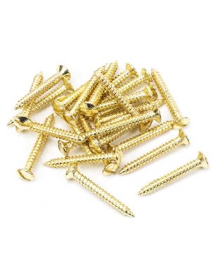 Polished Brass SS 8x1½" Countersunk Raised Head Screws (25)