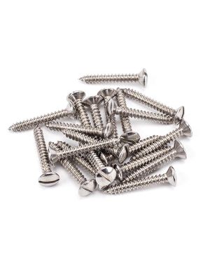 Stainless Steel 6x1" Countersunk Raised Head Screws (25)