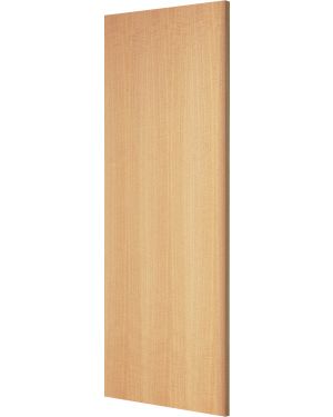 Flush Anegre Fire Door (FD60)