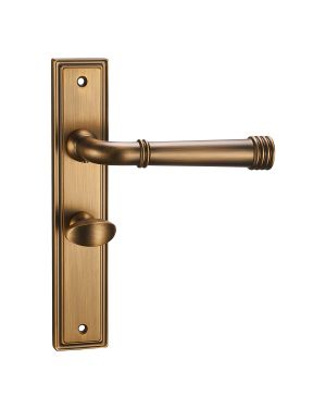 Bristol Lever On Backplate - Bathroom - Parisian Bronze