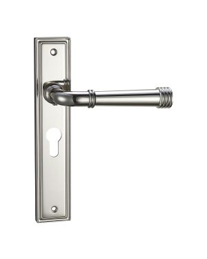 Bristol Lever On Backplate - Euro Lock - Polished Nickel