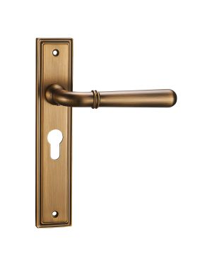 Exeter Lever On Backplate - Euro Lock - Parisian Bronze
