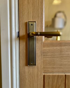 Exeter Lever On Backplate - Latch Only - Parisian Bronze