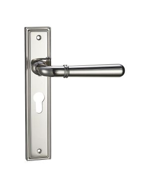Exeter Lever On Backplate - Euro Lock - Polished Nickel