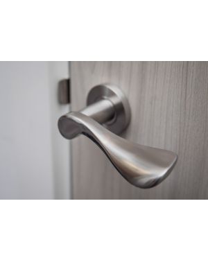 Saale Lever On Rose - Stainless Steel