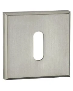 Cool Brushed Nickel Escutcheon
