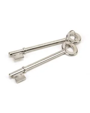 Polished Brass Rim Lock & Cover