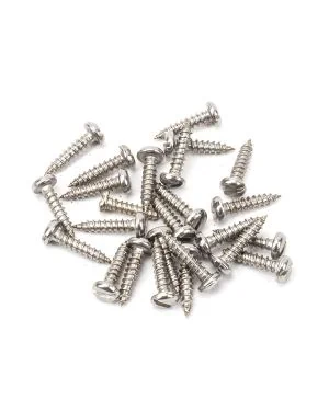 Stainless Steel 4x½" Round Head Screws (25)