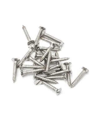 Stainless Steel 4x¾" Countersunk Screws (25)