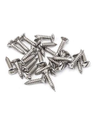 Stainless Steel 8x¾" Countersunk Raised Head Screws (25)