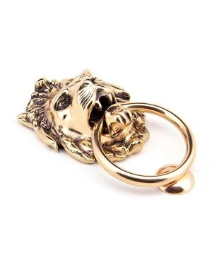 Polished Bronze Lion Head Door Knocker