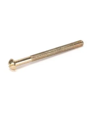 Polished Brass SS M5 x 64mm Male Bolt (1)