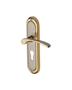 Heritage Brass Door Handle for Euro Profile Plate Ambassador Design Jupiter finish