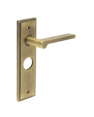 Fitzrovia Lever On Backplate - Antique Brass