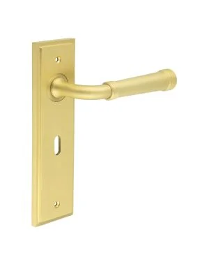 Highgate Lever On Backplate - Satin Brass