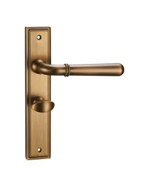 Exeter Backplate Handle Pair - Bathroom - Parisian Bronze