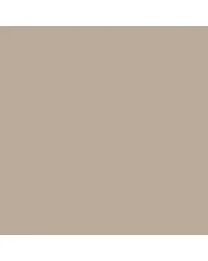 Taupe - Colour Sample